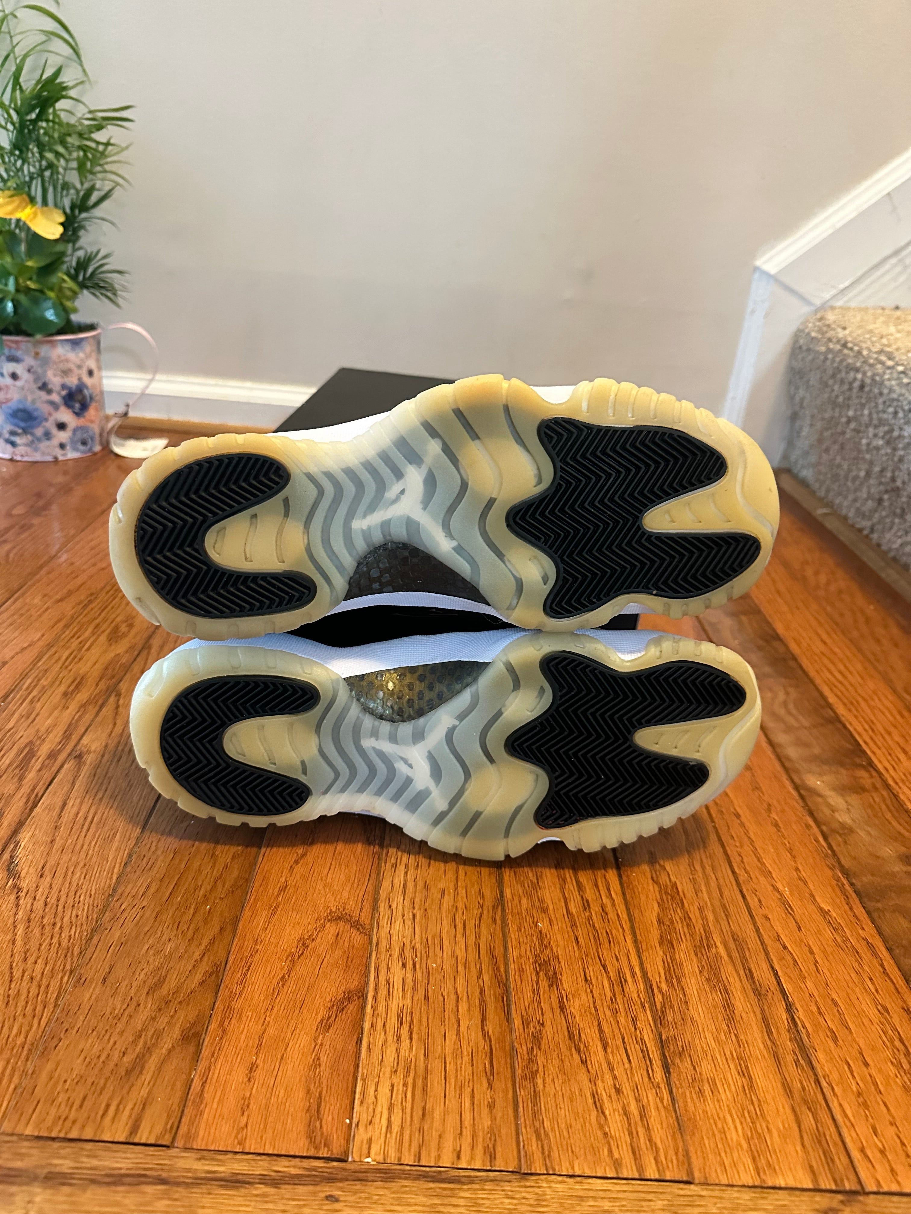 DMP Gratitude 11s size 9.5