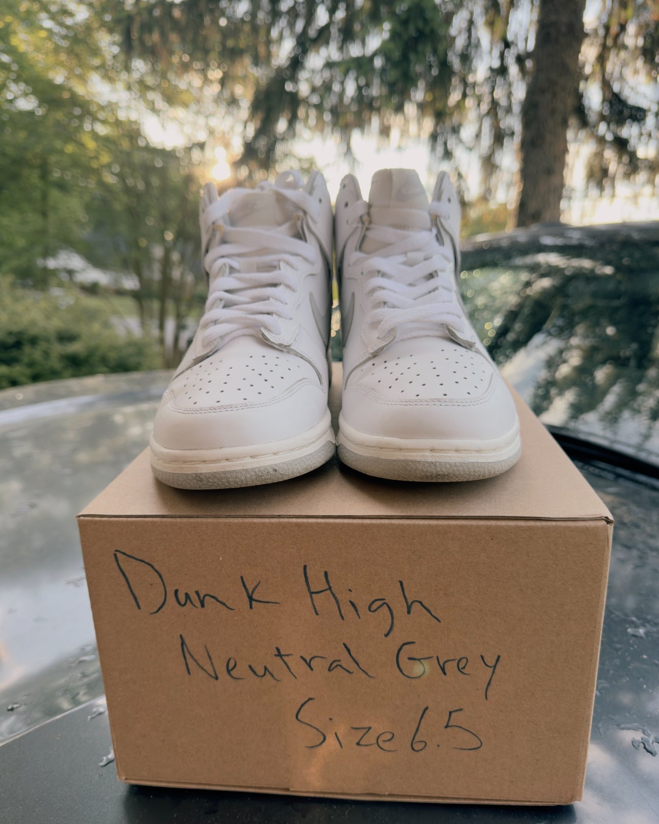 Dunk High Grey Fog Size 6.5