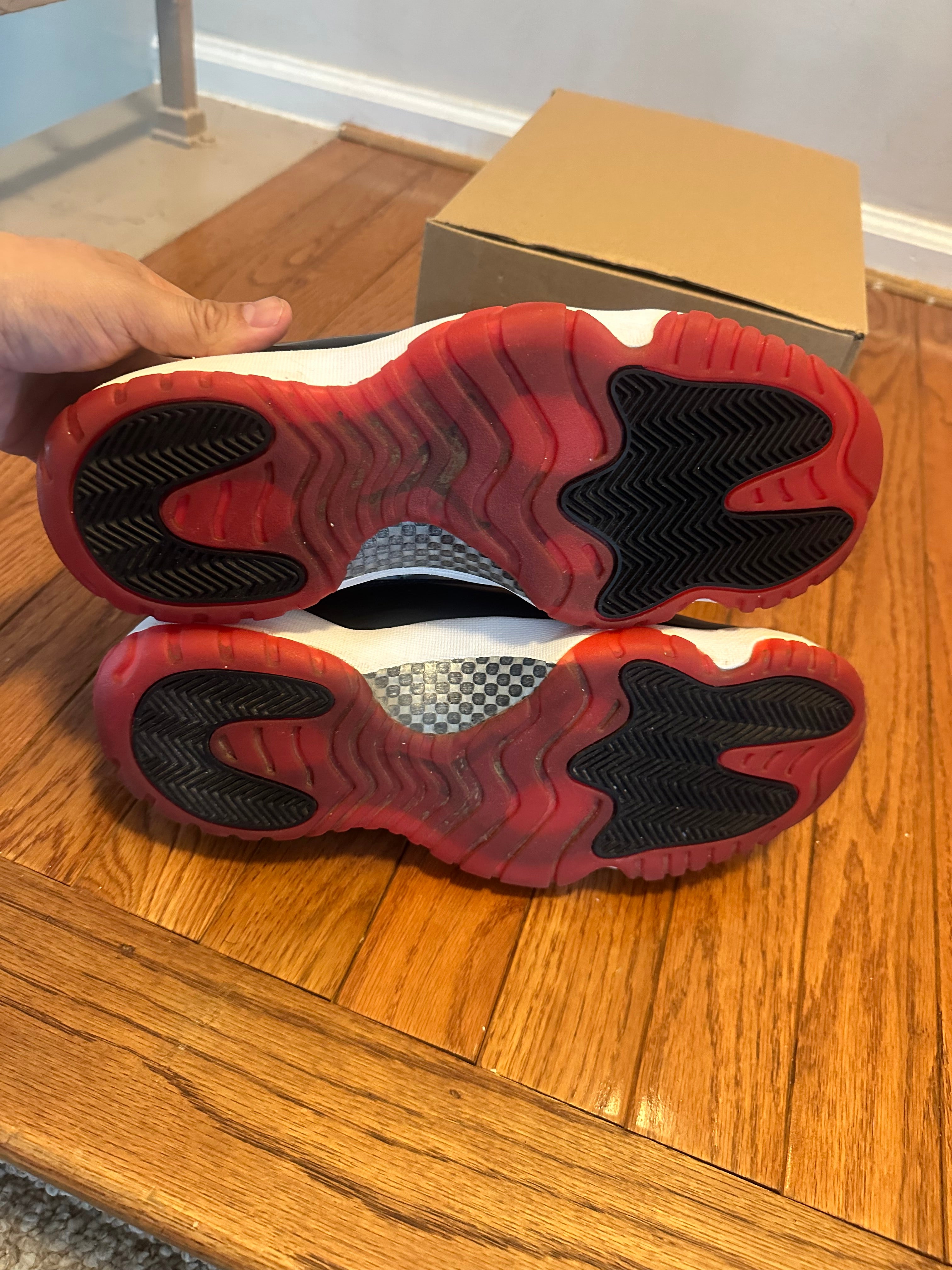 Concord Bred 11s size 11