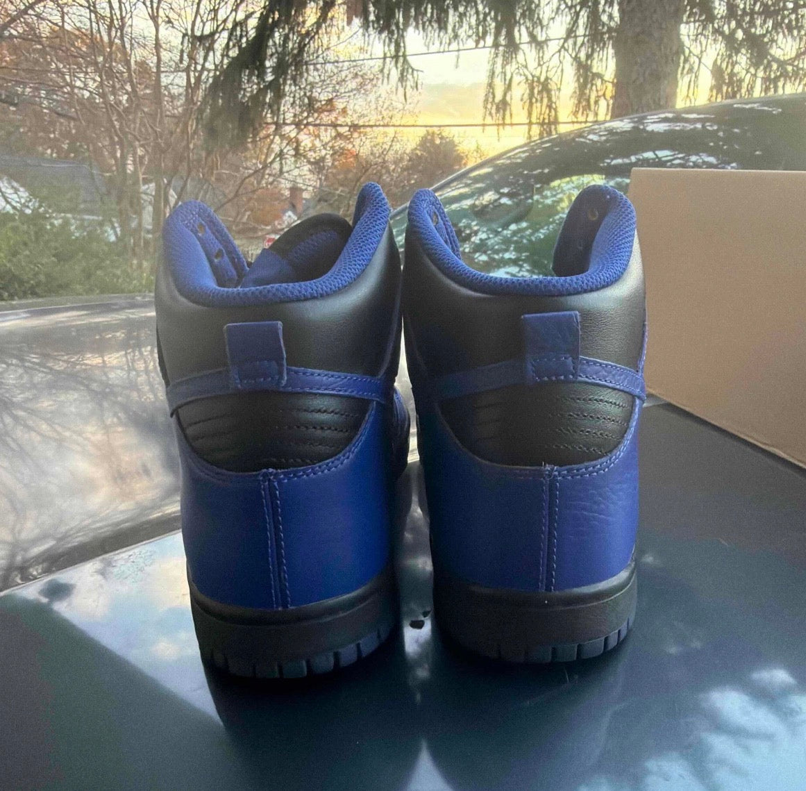 Dunk High Black Old Royal Size 8