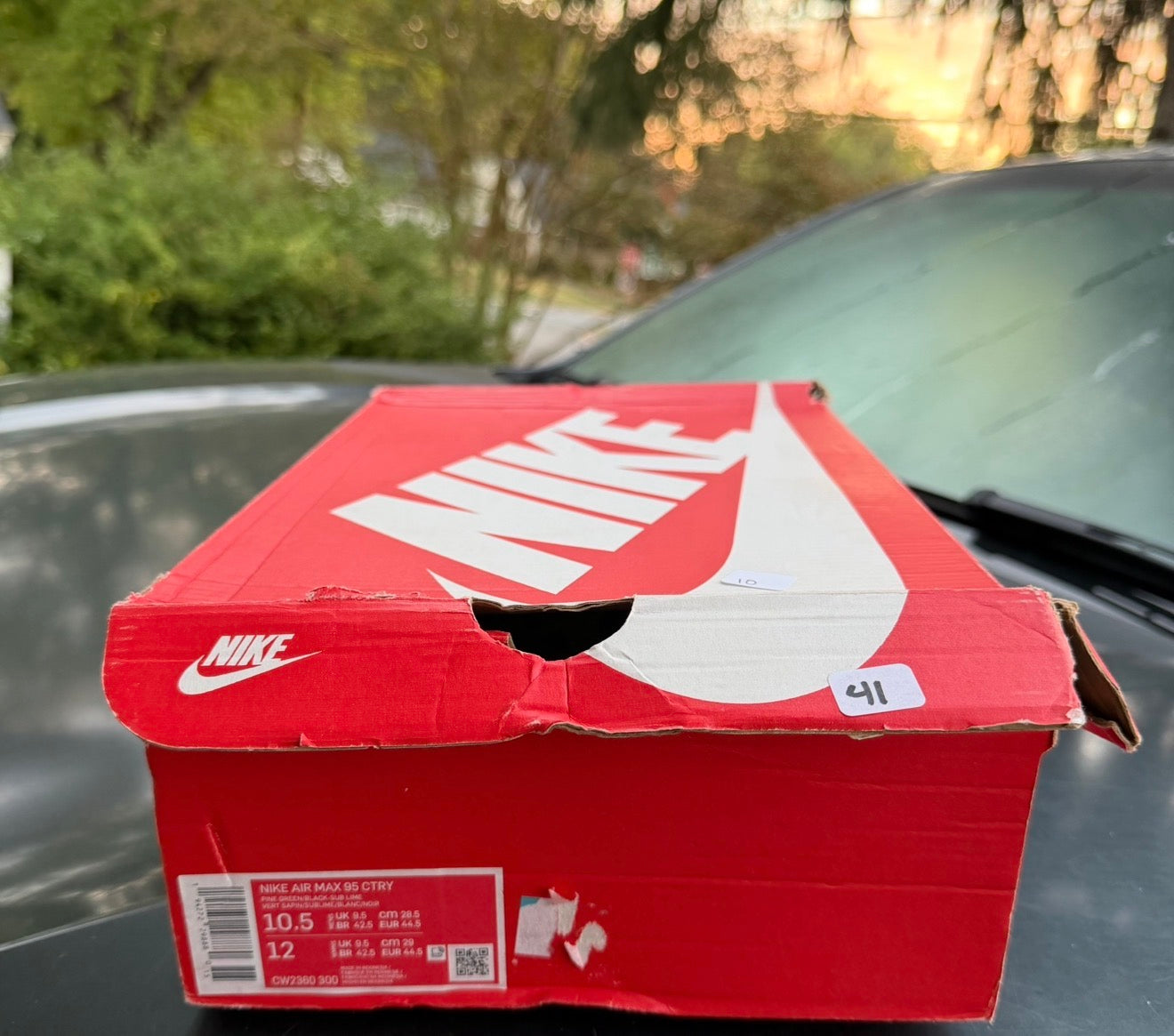 Brand New Air Max 95 Naija Size 10.5