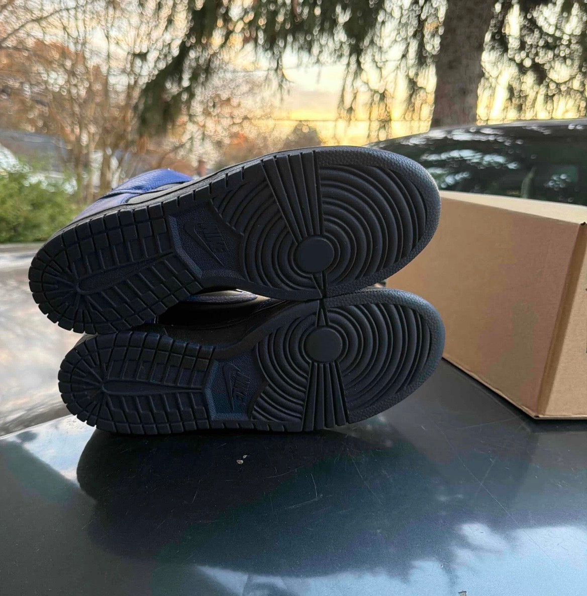 Dunk High Black Old Royal Size 8