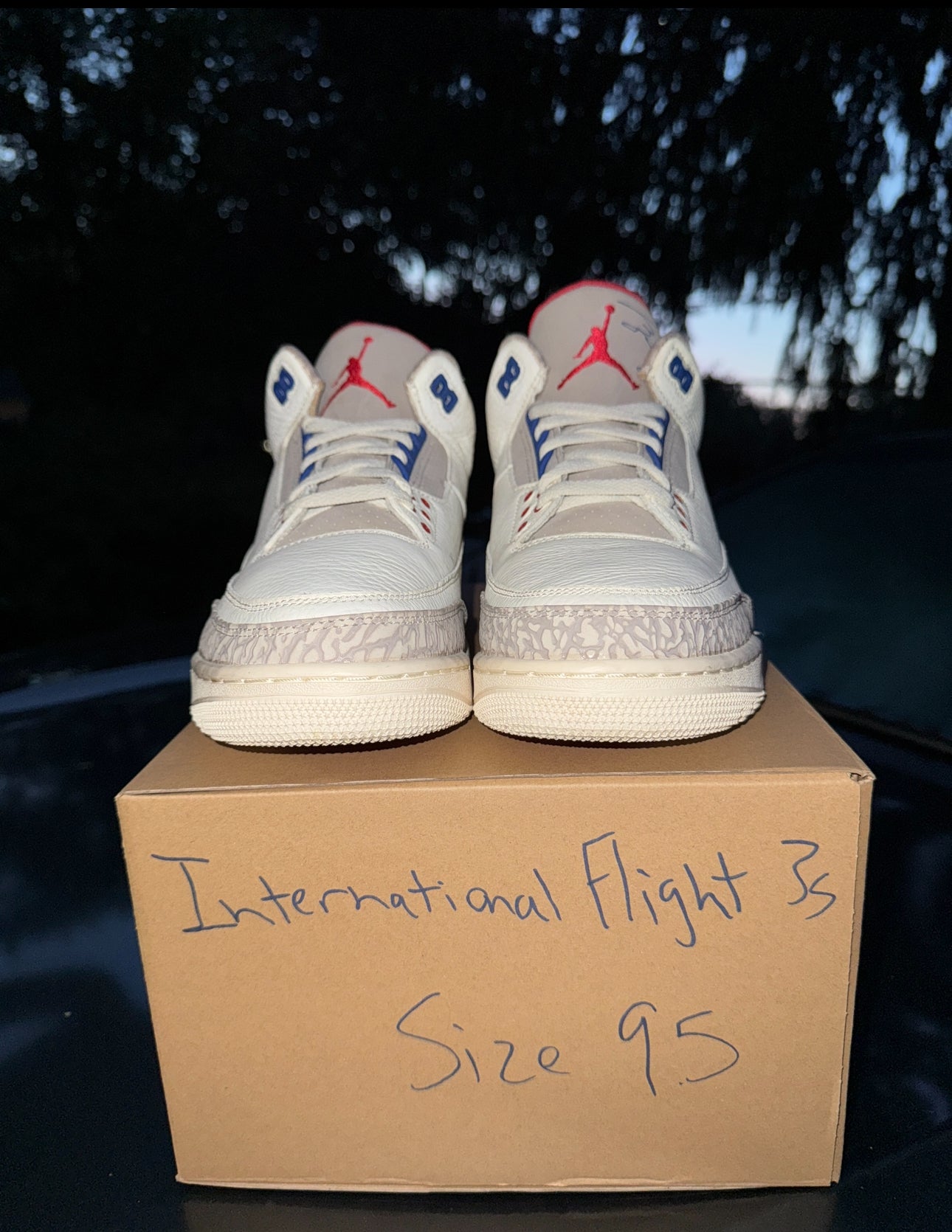 International Flight 3s Size 9.5