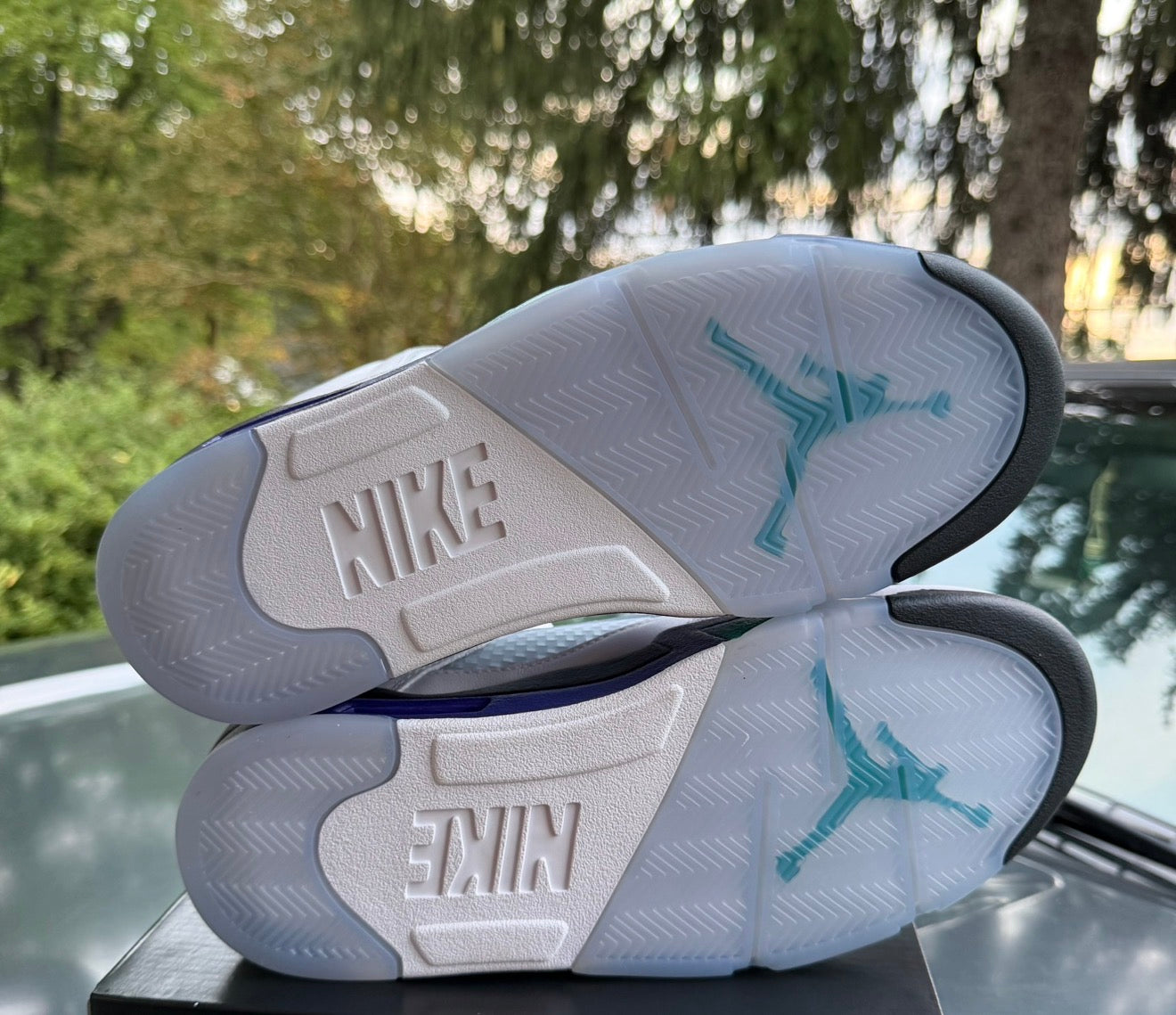 Brand New Grape 5s Size 9