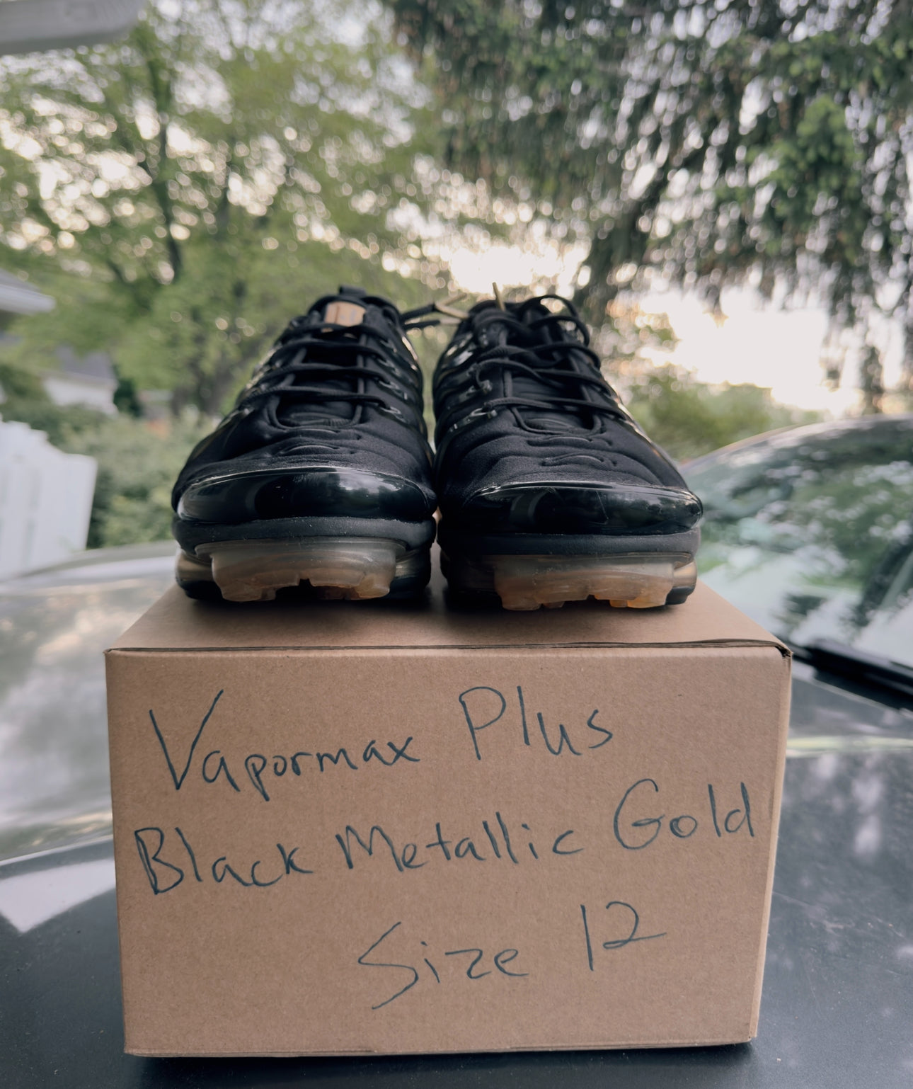 Air Vapormax Plus Black Metallic Gold Size 12