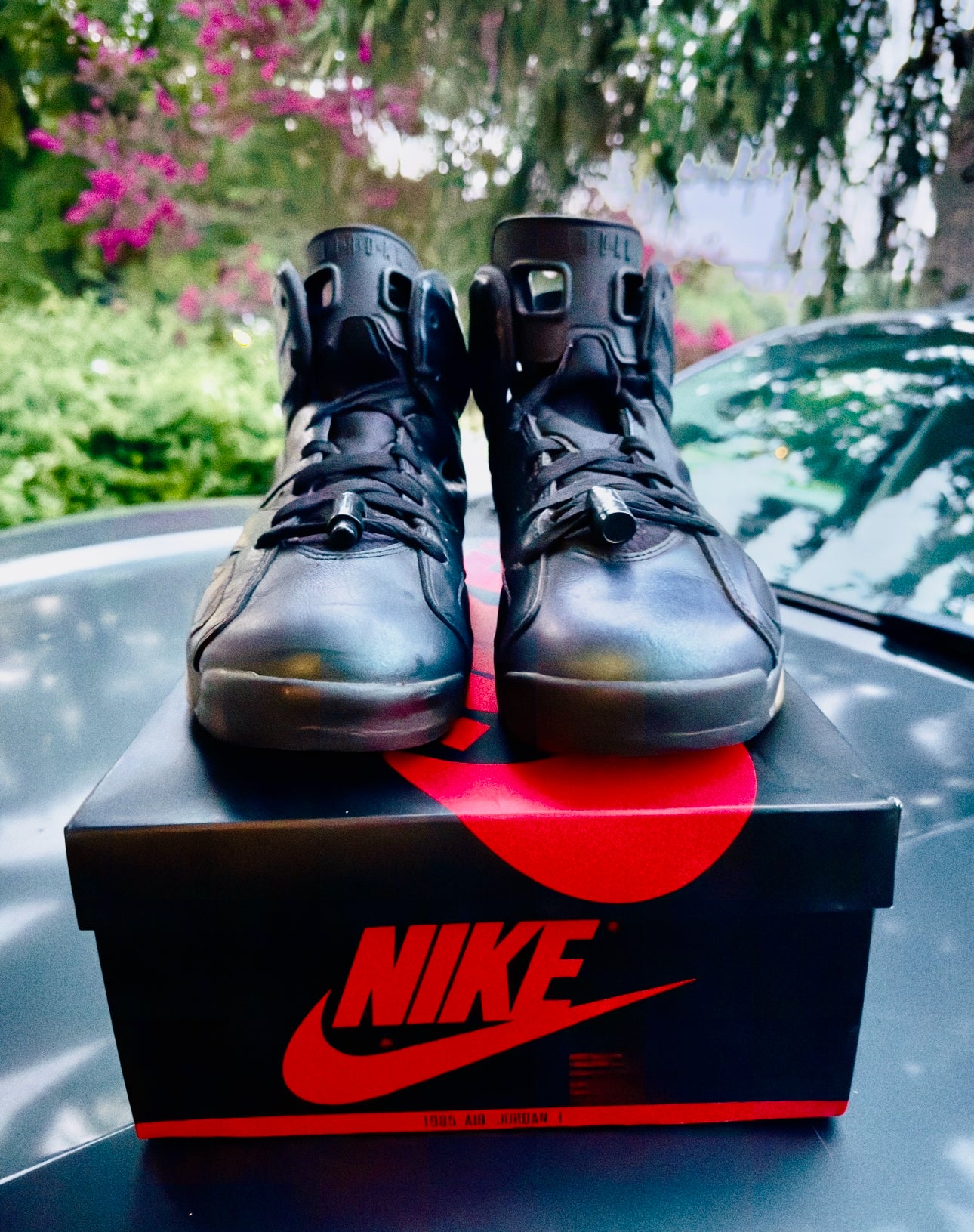 All Star Chameleon 6s Size 10