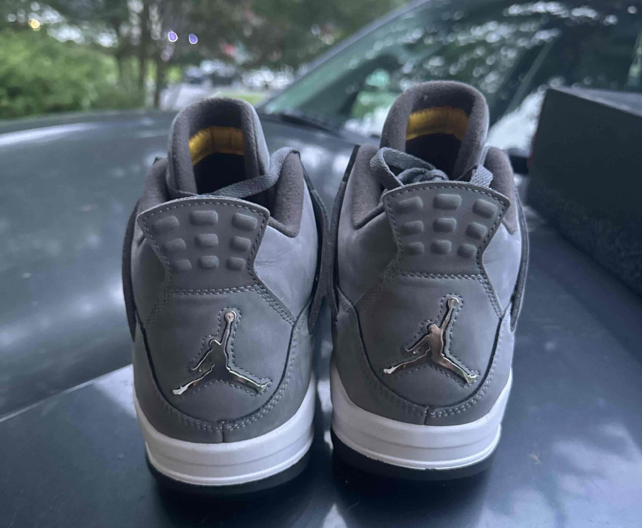 Cool Grey 4s Size 10