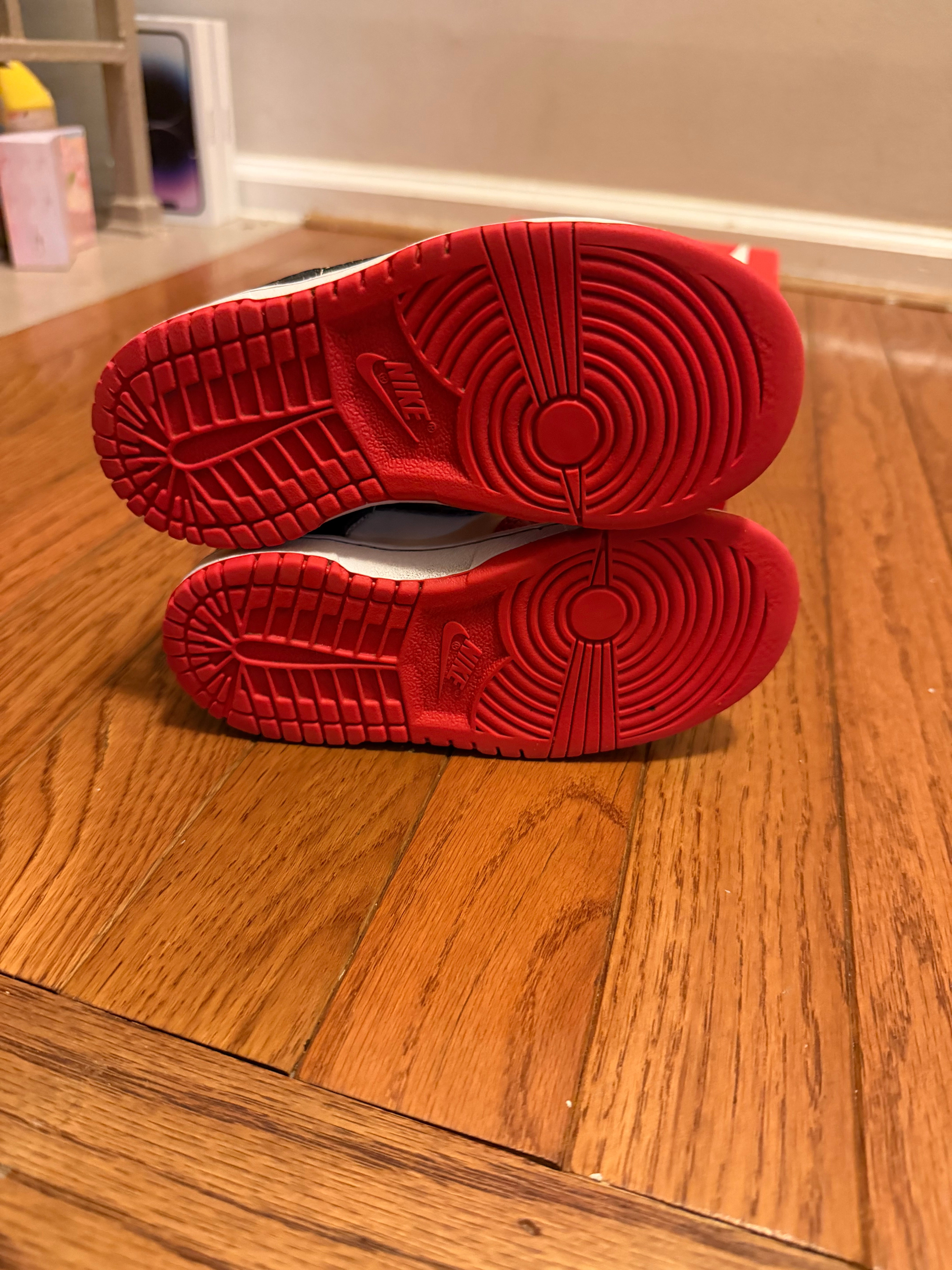 75th Anniversary Chicago Nike Dunk Low size 9C