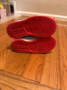 75th Anniversary Chicago Nike Dunk Low size 9C