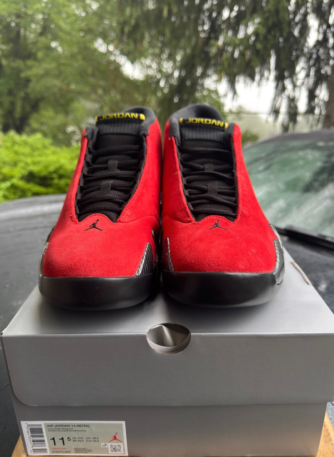 Brand New Ferrari 14s Size 11.5