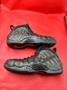 Sequoia Nike Foamposite size 9.5