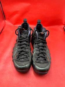 Sequoia Nike Foamposite size 9.5