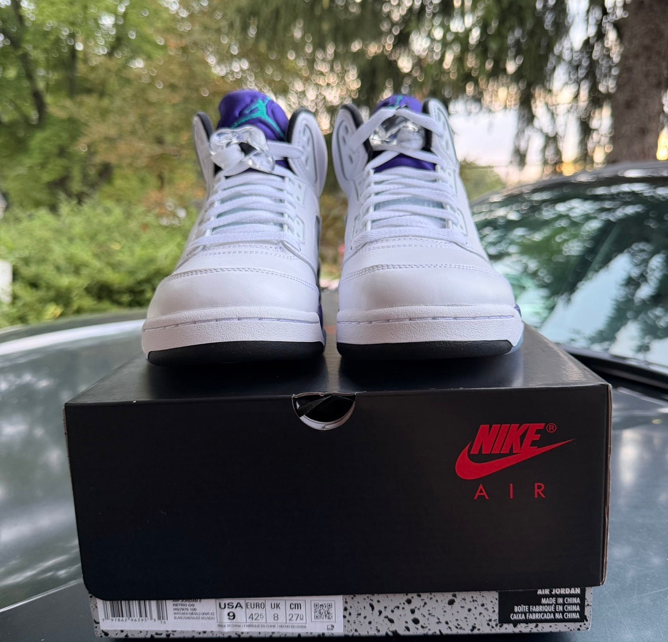 Brand New Grape 5s Size 9
