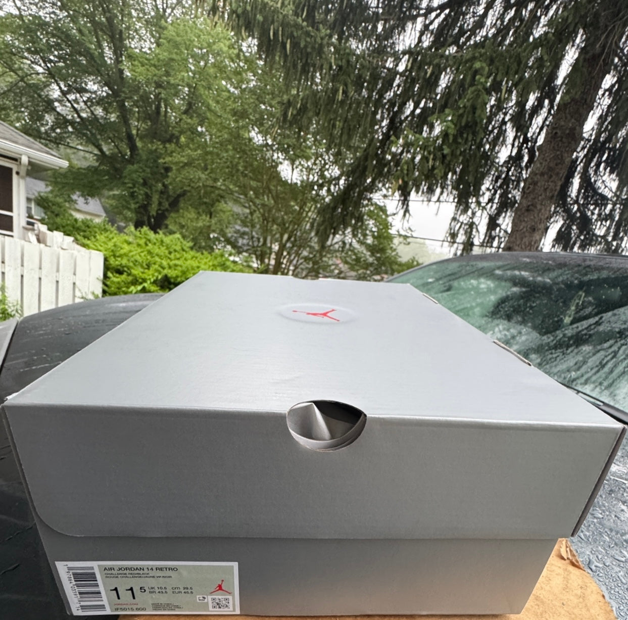 Brand New Ferrari 14s Size 11.5