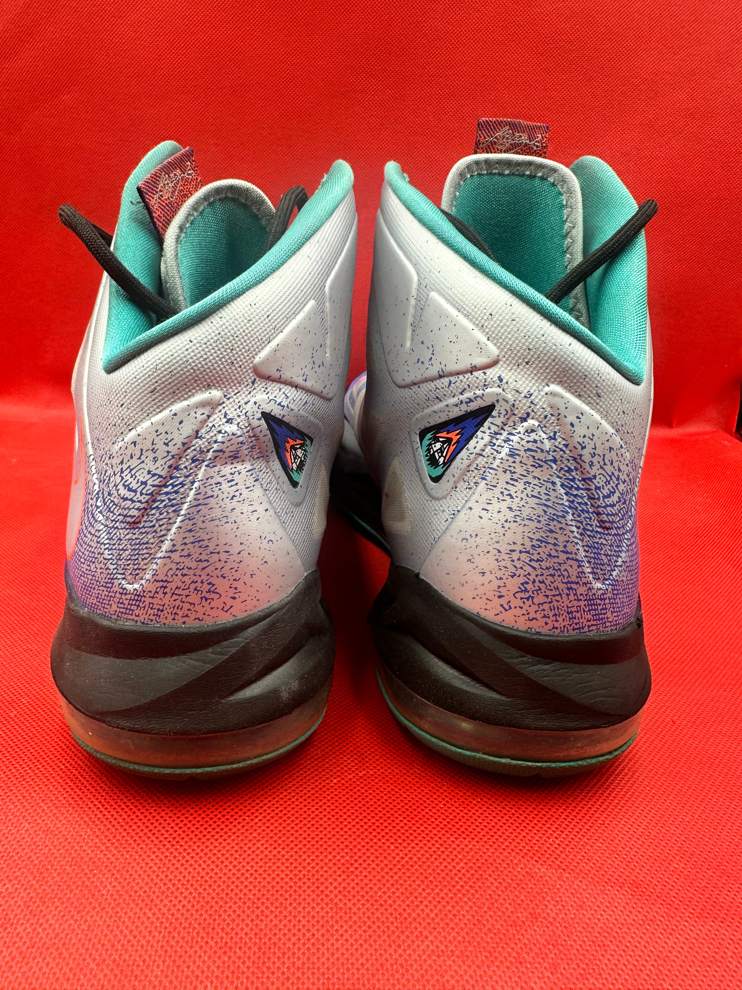 Pure Platinum Lebron 10 Size 9.5 Grailz DMV