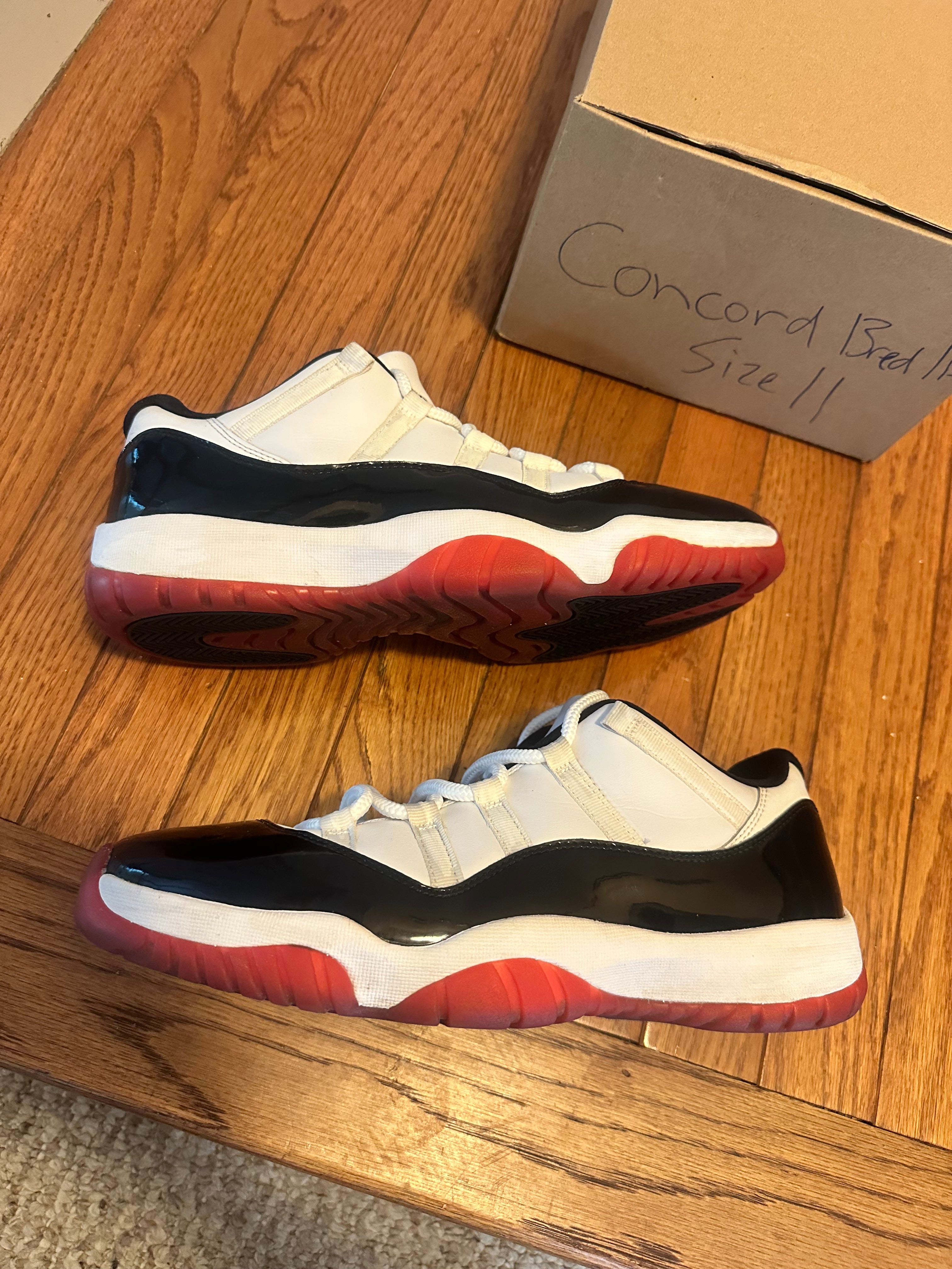 Concord Bred 11s size 11