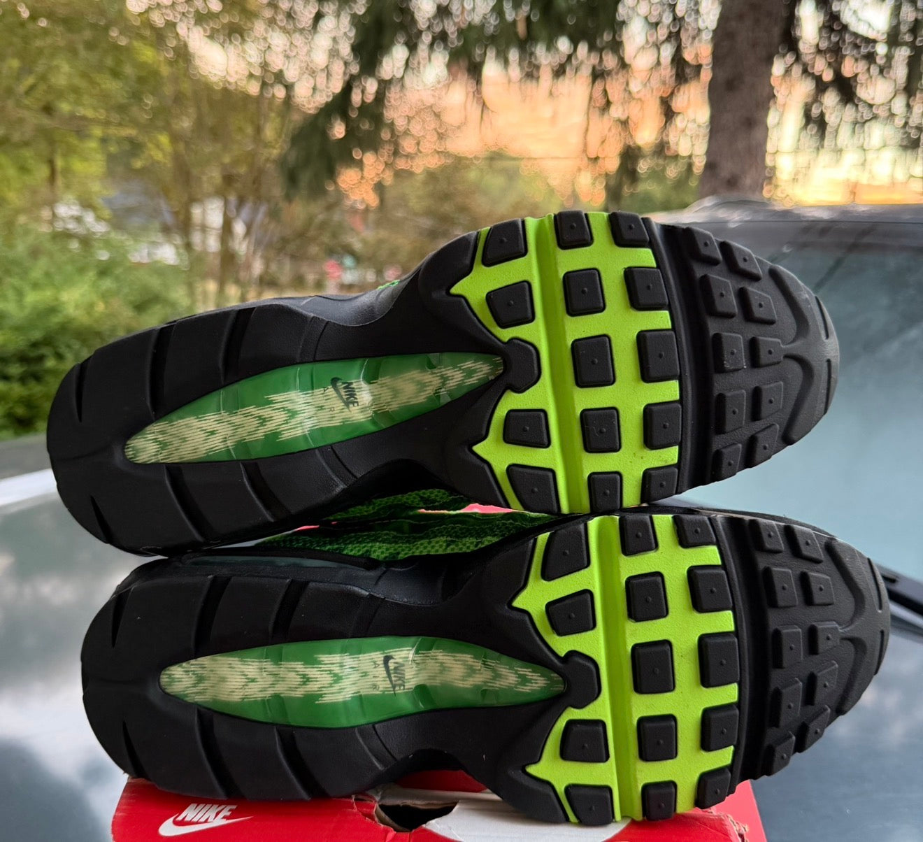 Brand New Air Max 95 Naija Size 10.5