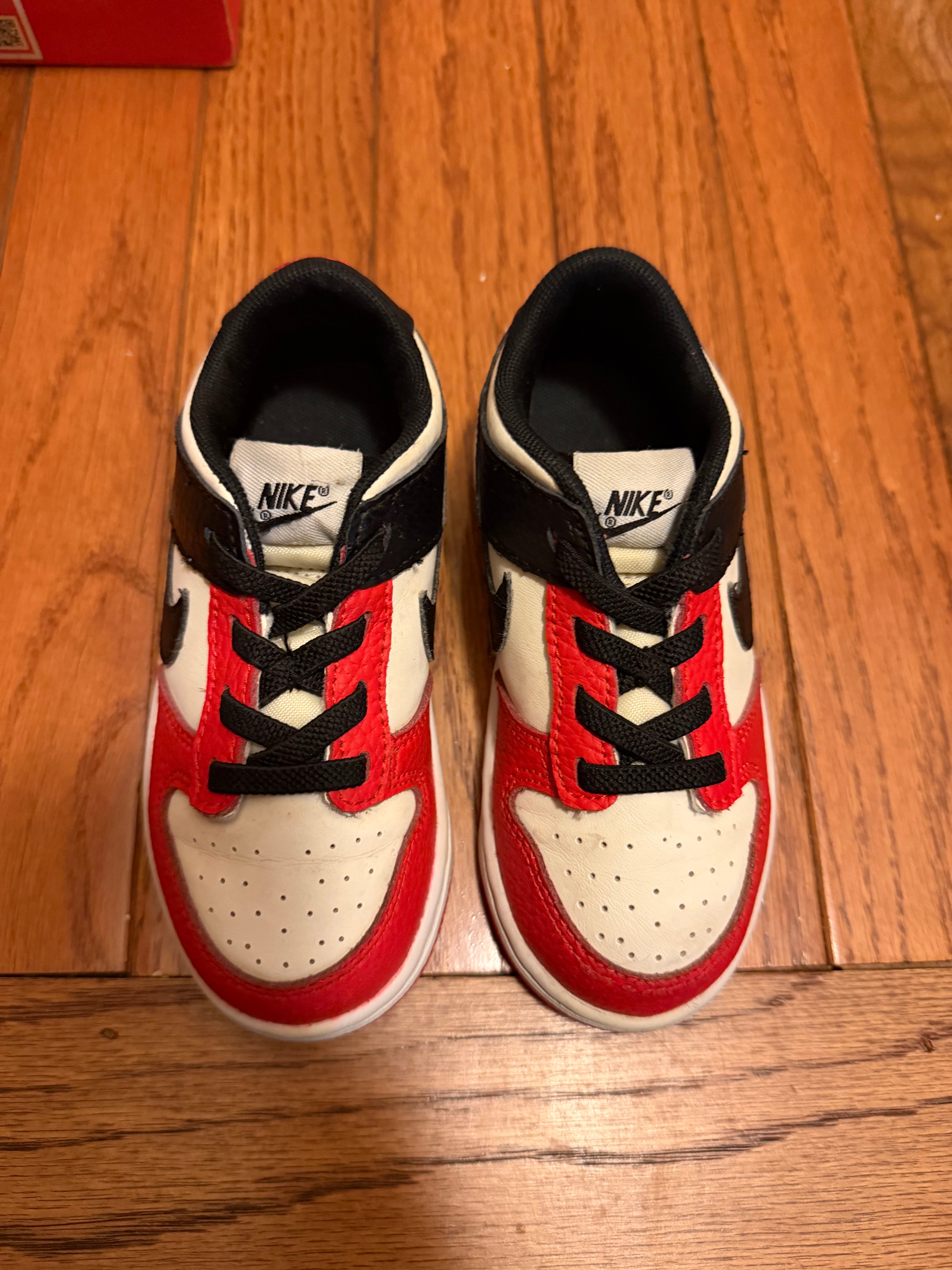 75th Anniversary Chicago Nike Dunk Low size 9C