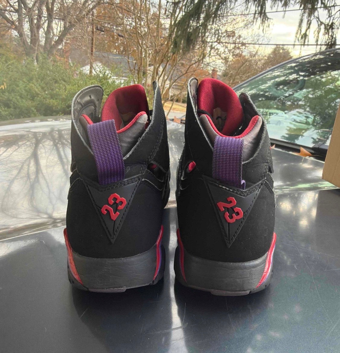 Raptor 7s Size 8.5