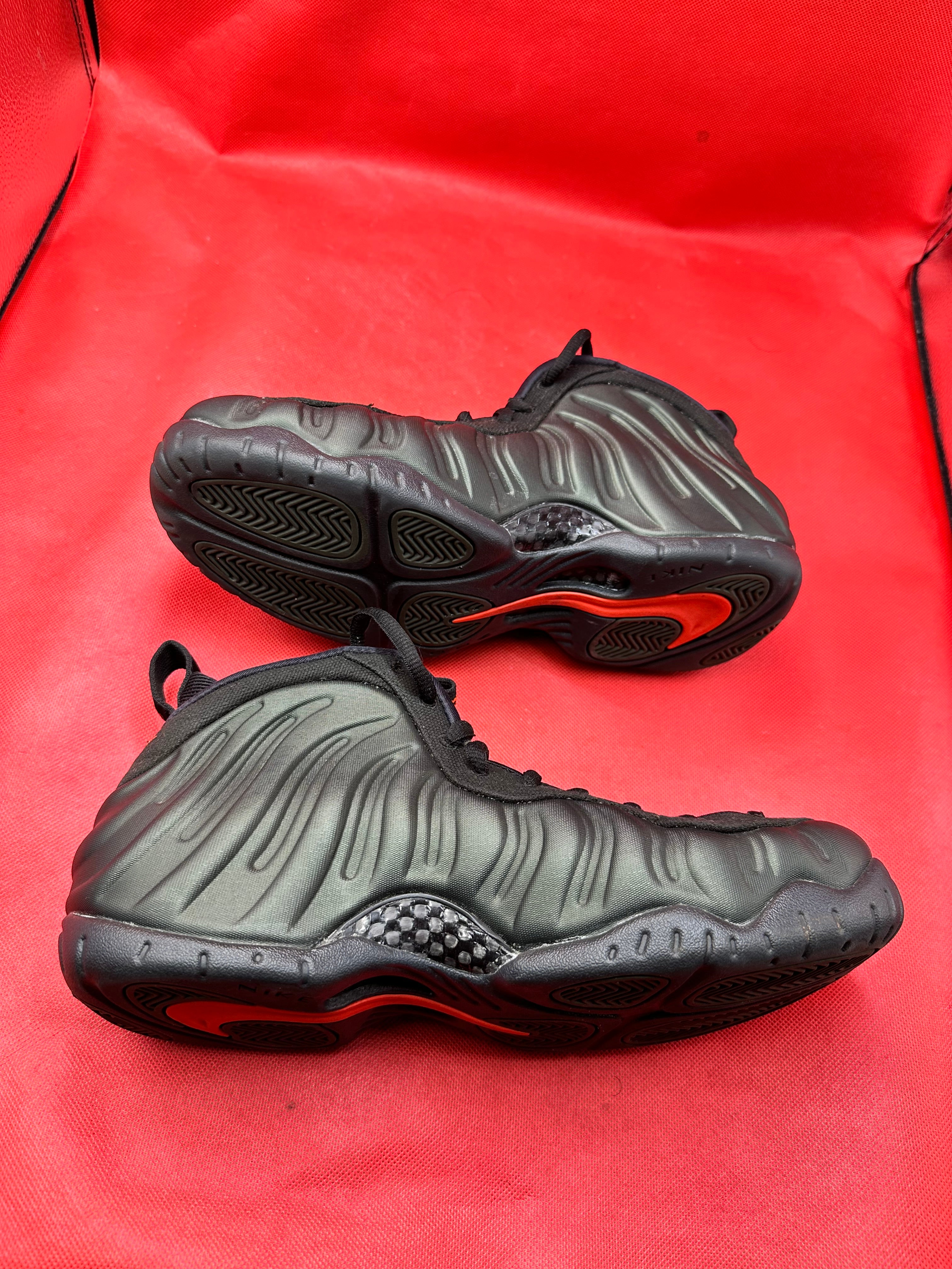 Sequoia Nike Foamposite size 9.5