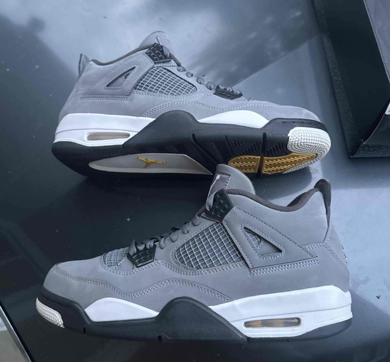 Cool Grey 4s Size 10
