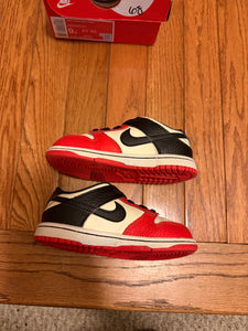 75th Anniversary Chicago Nike Dunk Low size 9C
