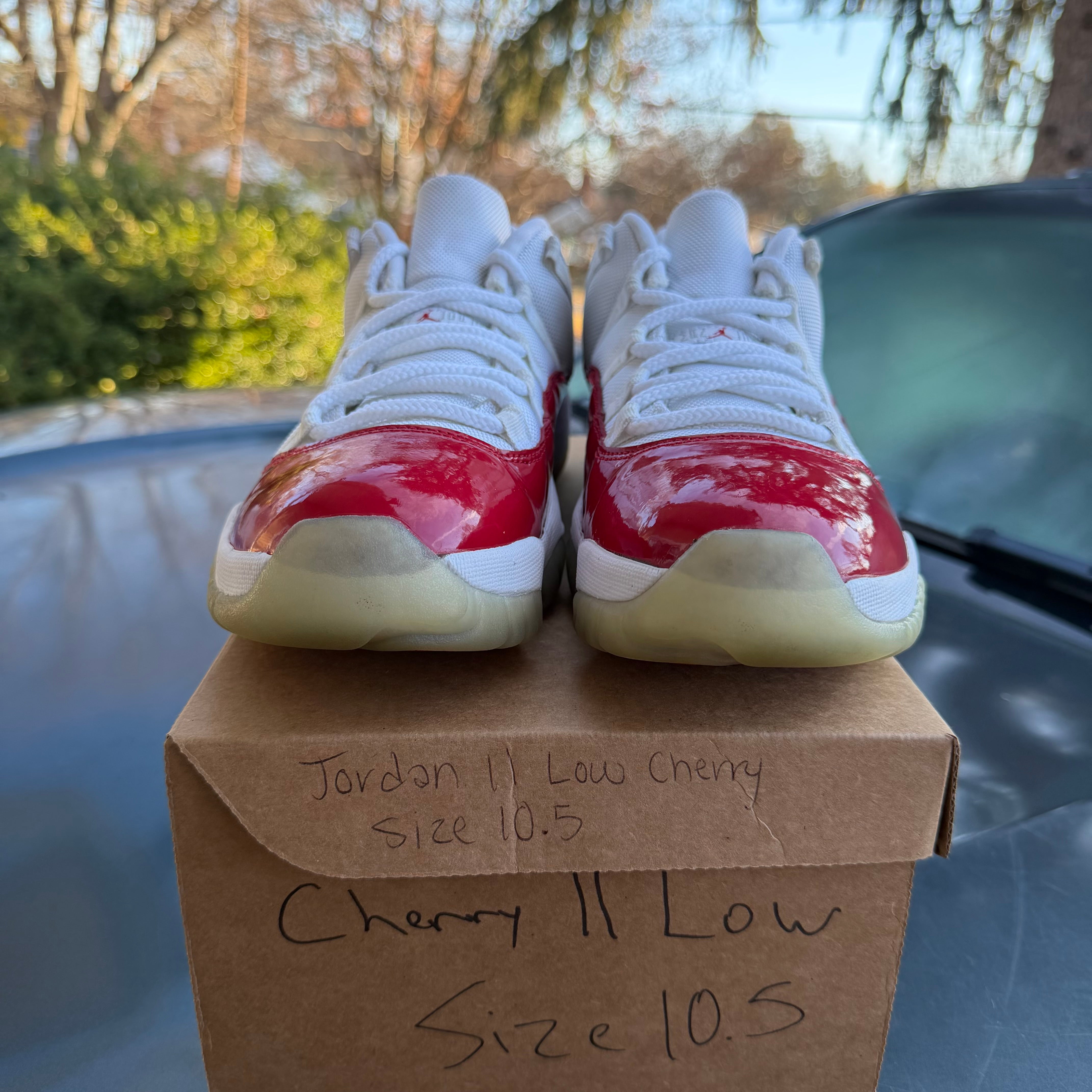 Cherry Low 11s Size 10.5