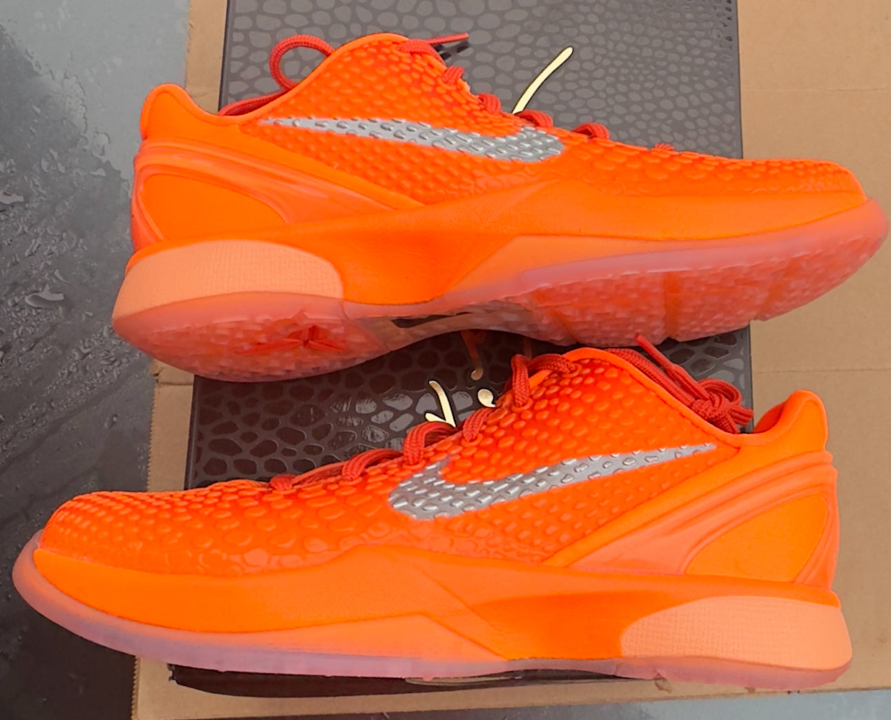Brand New Kobe 6 Total Orange Size 5.5Y