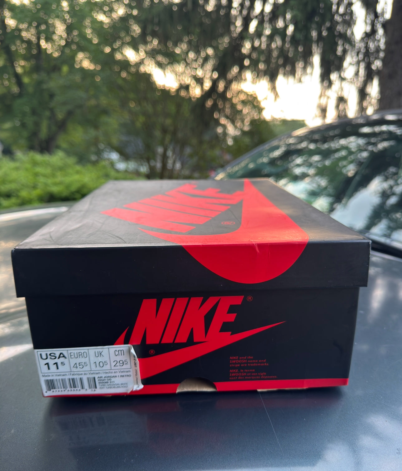 Turbo Green 1s Size 11.5