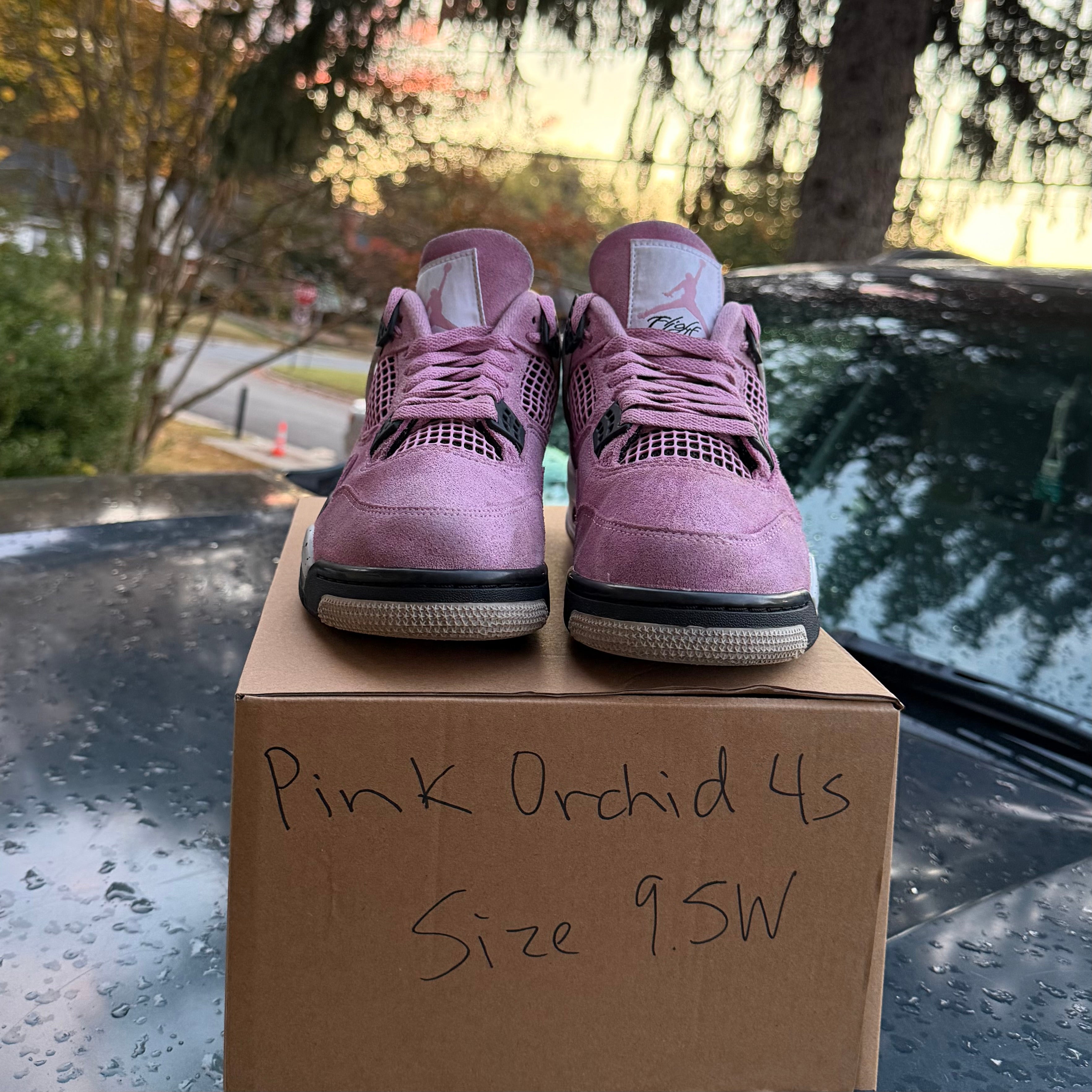 Pink Orchid 4s Size 8