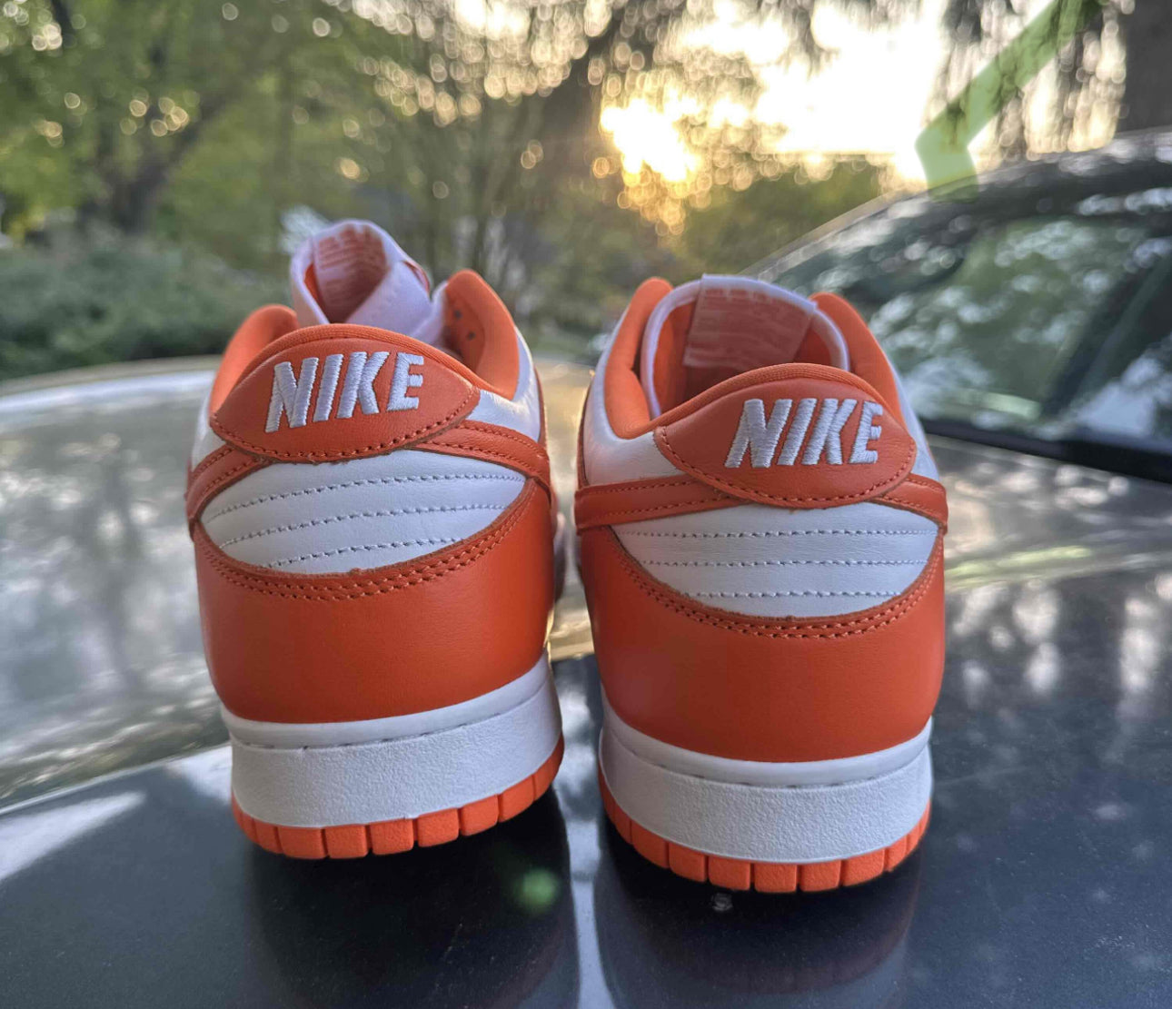 Nike Dunk Low Syracuse Size 14