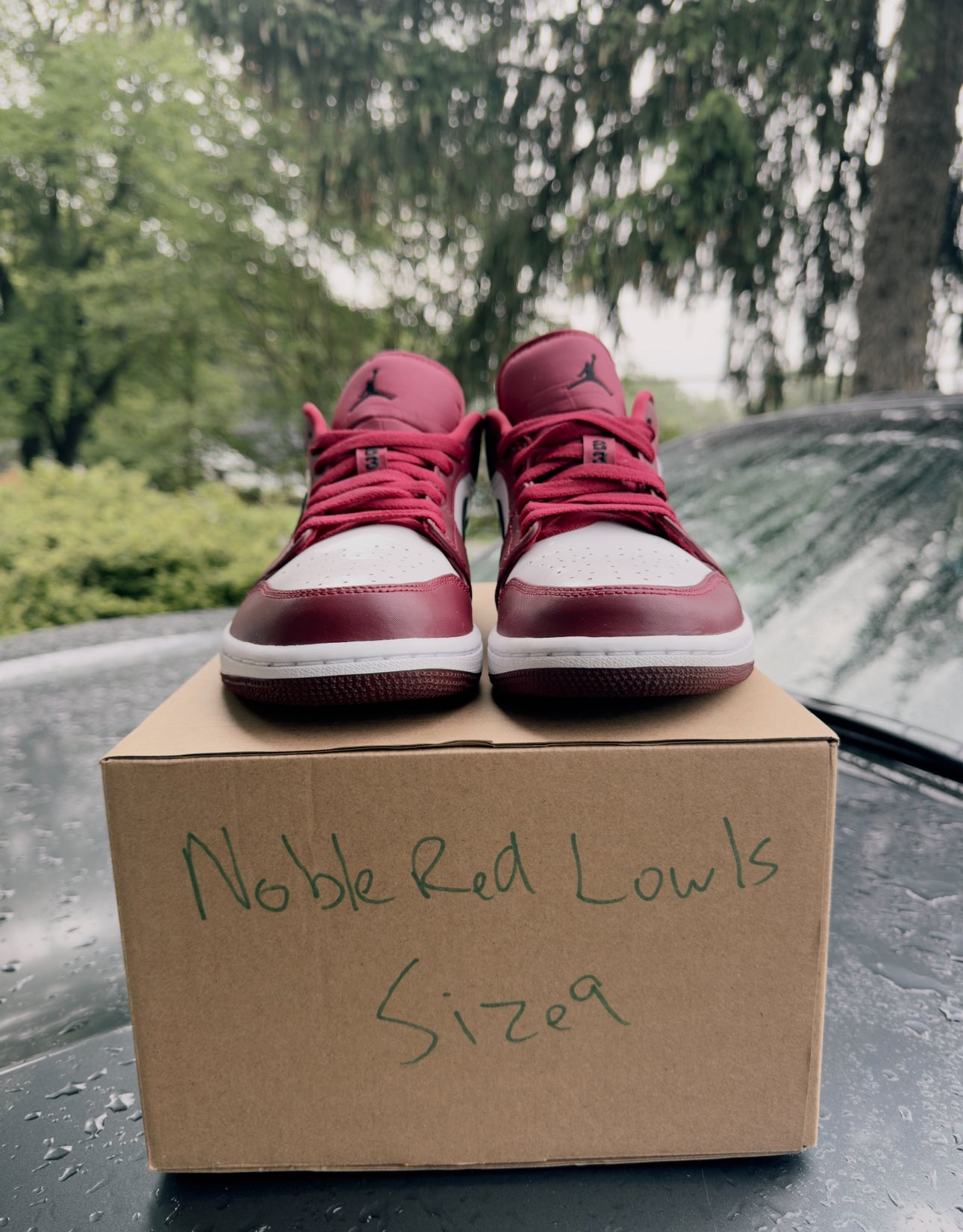 Noble Red Low 1s Size 9