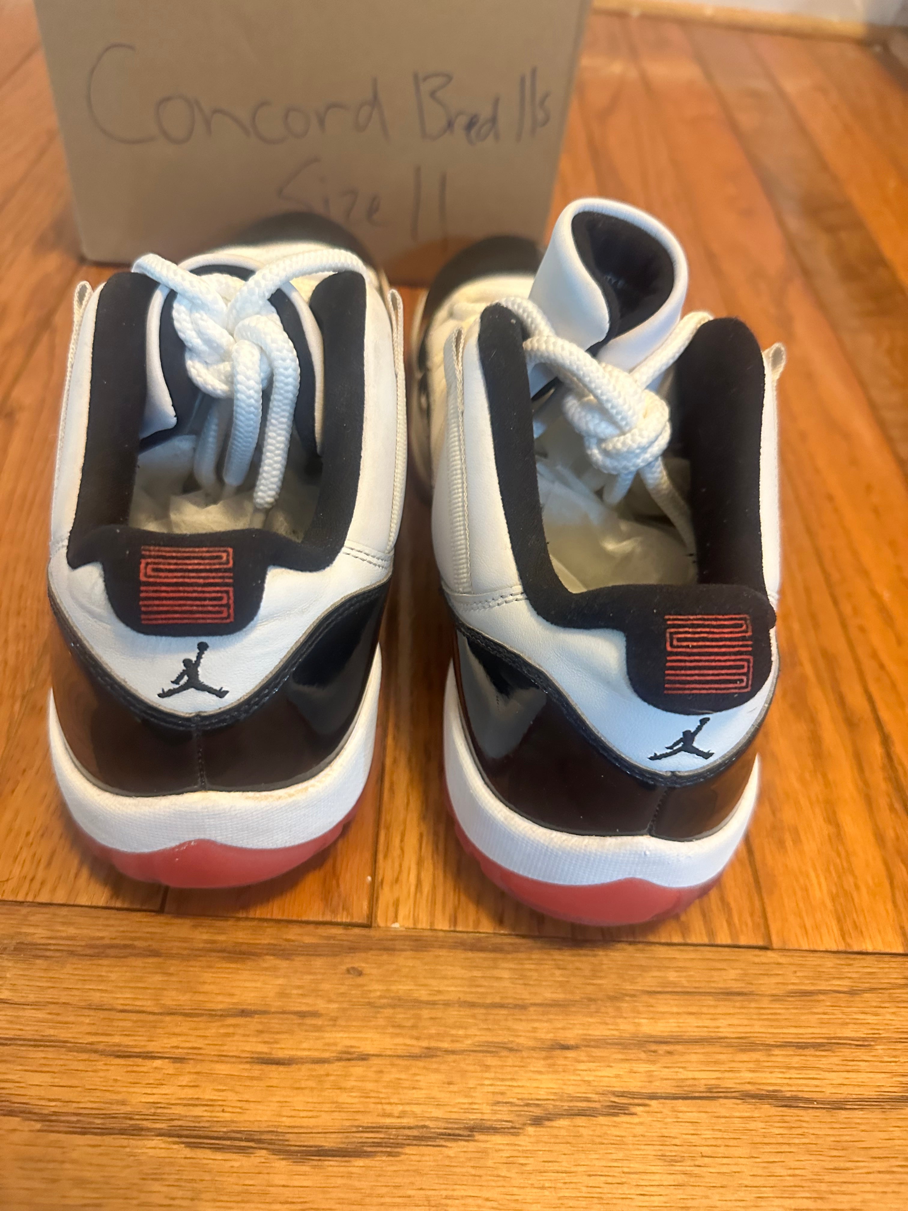 Concord Bred 11s size 11