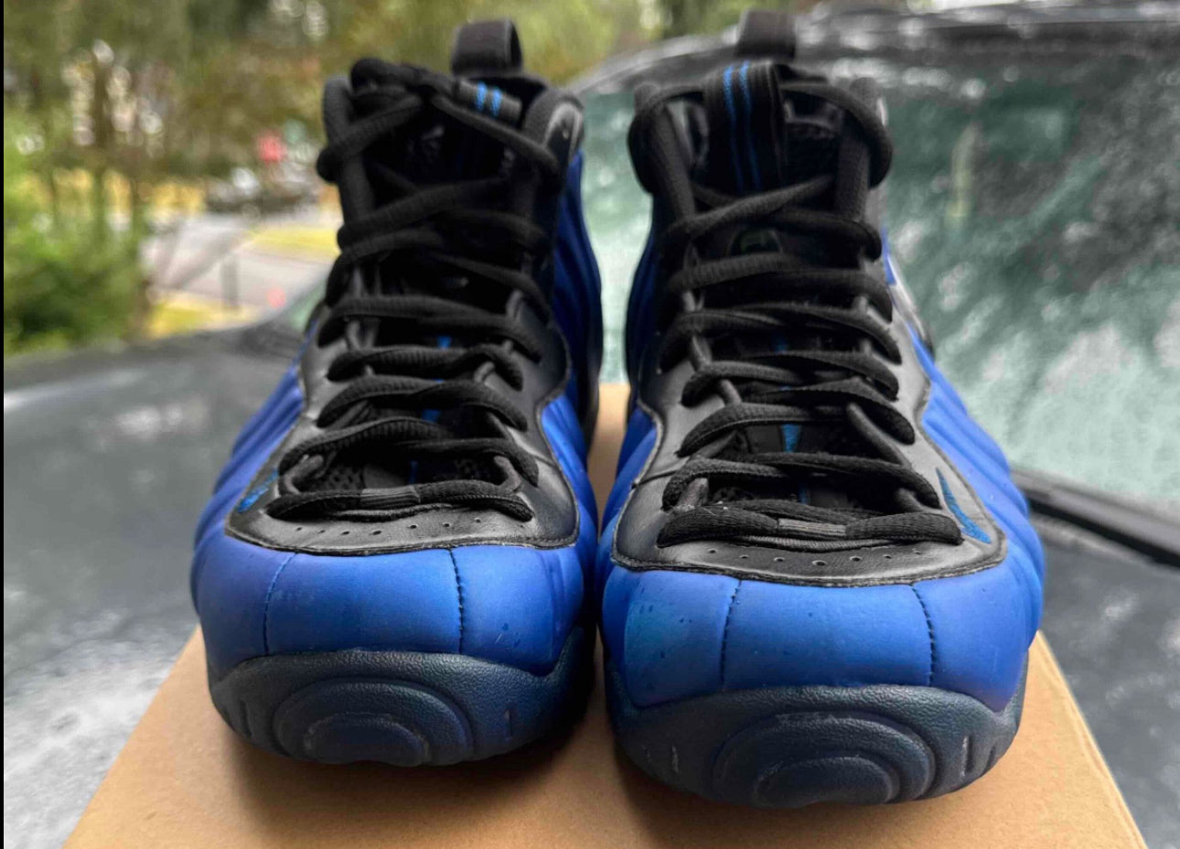 Hyper Cobalt Foams Size 9.5