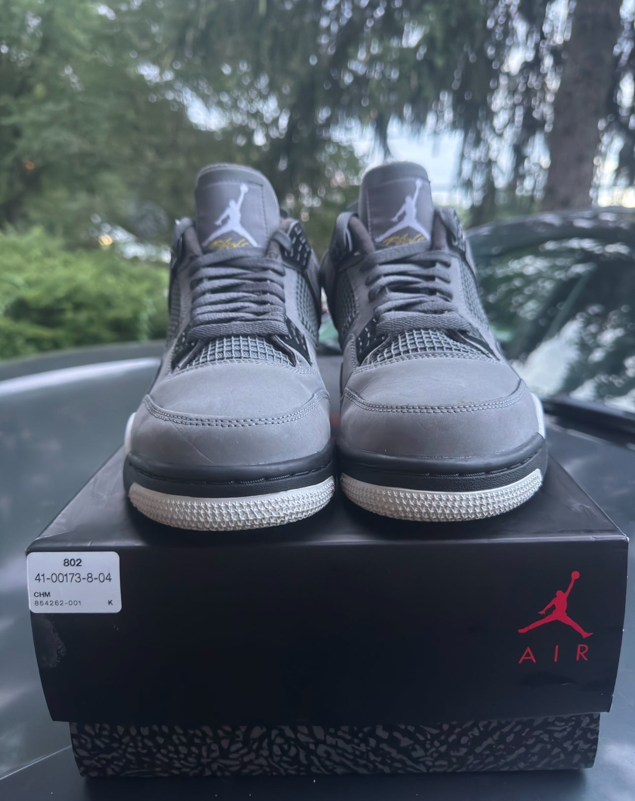 Cool Grey 4s Size 10