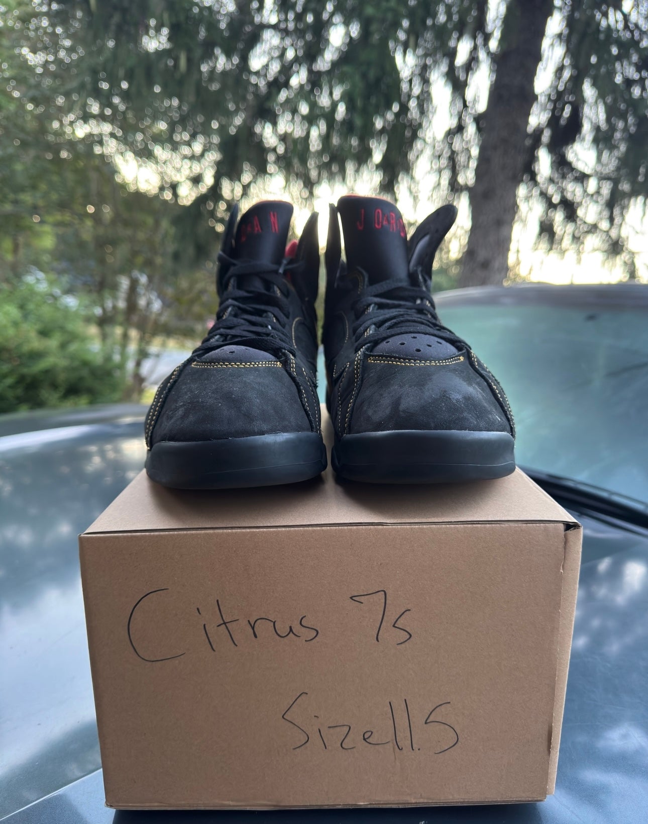 Citrus 7s Size 11.5