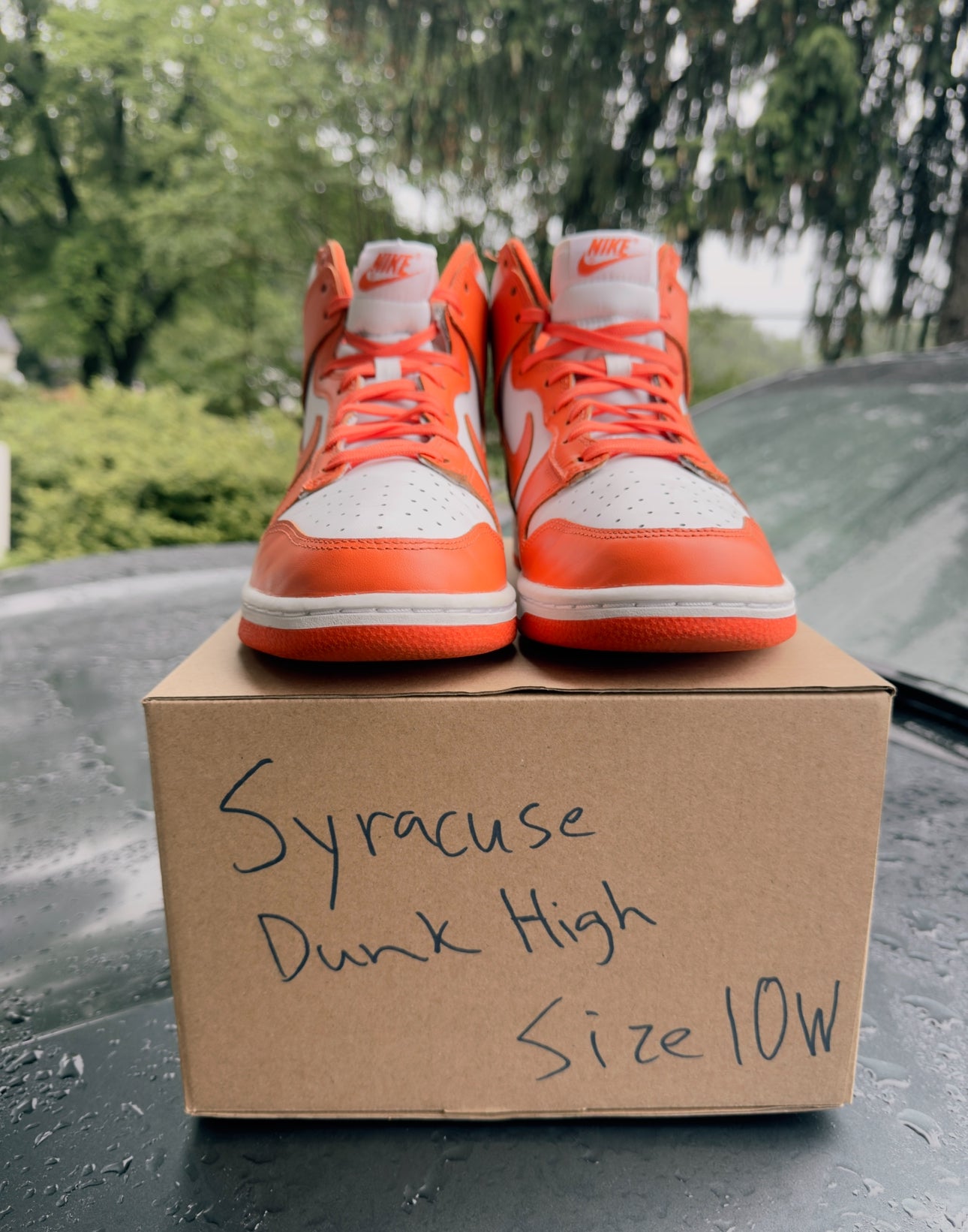 Dunk High Syracuse Size 8.5