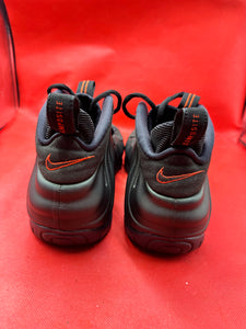 Sequoia Nike Foamposite size 9.5