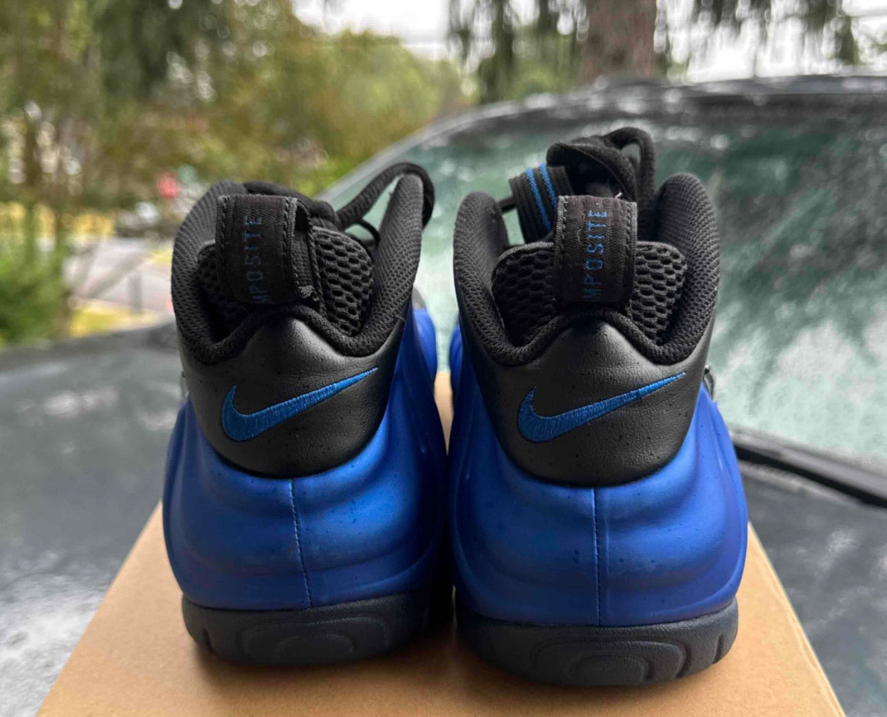 Hyper Cobalt Foams Size 9.5