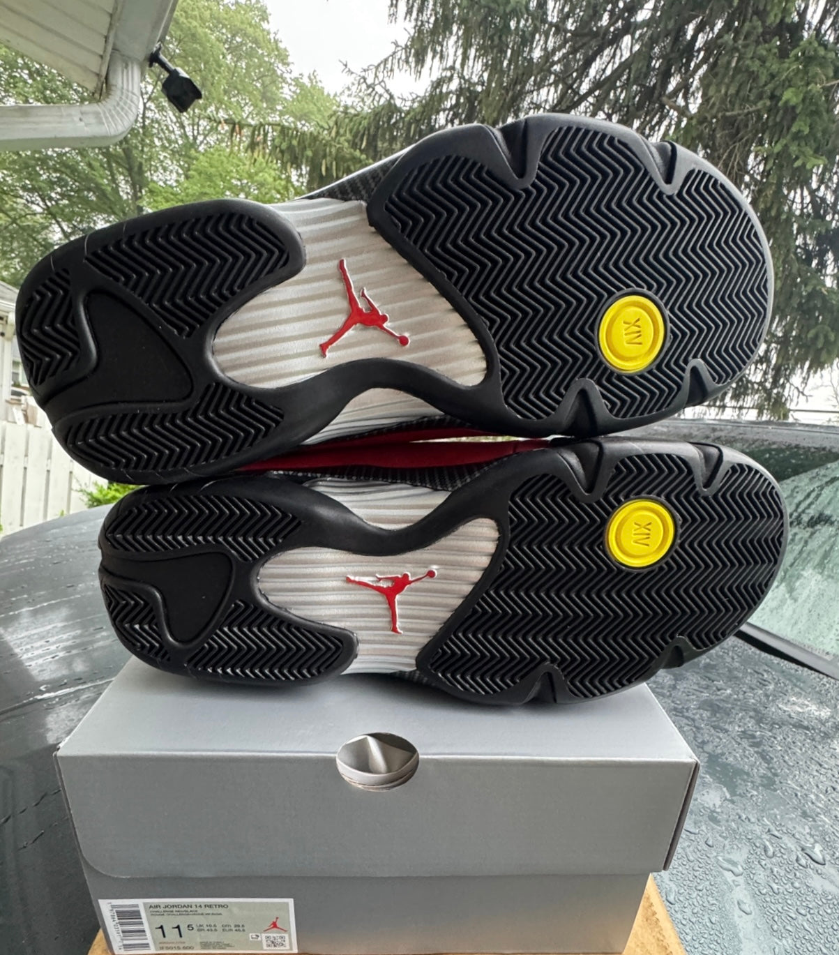 Brand New Ferrari 14s Size 11.5