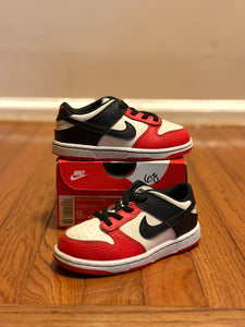75th Anniversary Chicago Nike Dunk Low size 9C