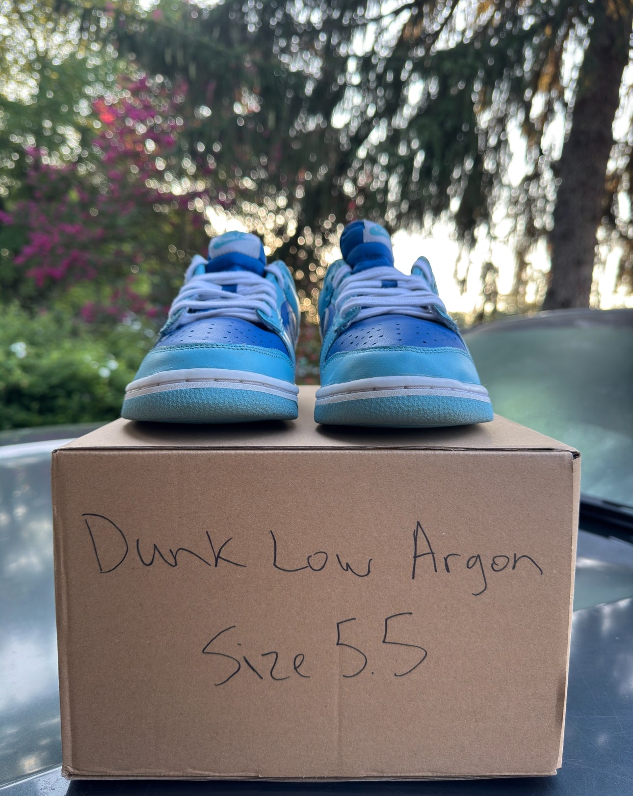 Nike Dunk Low Argon Size 5.5