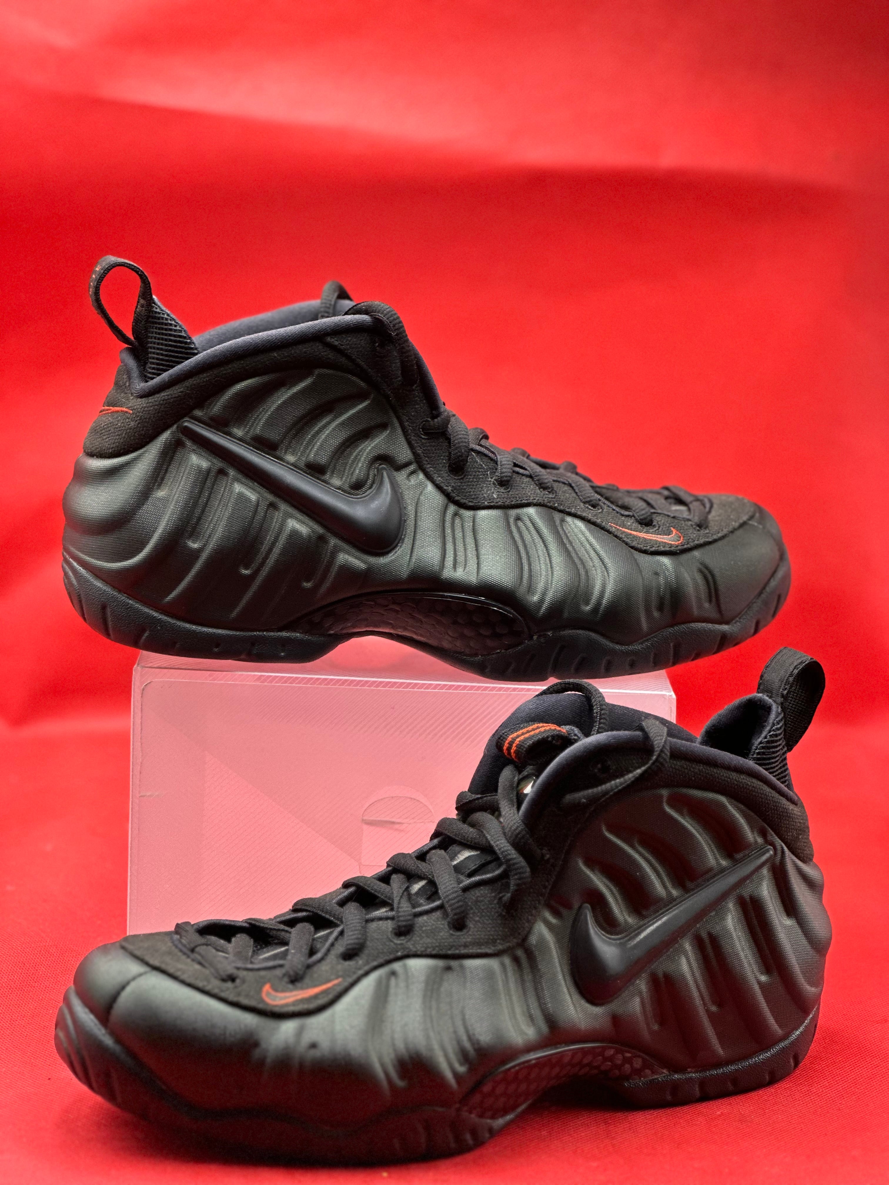 Sequoia Nike Foamposite size 9.5