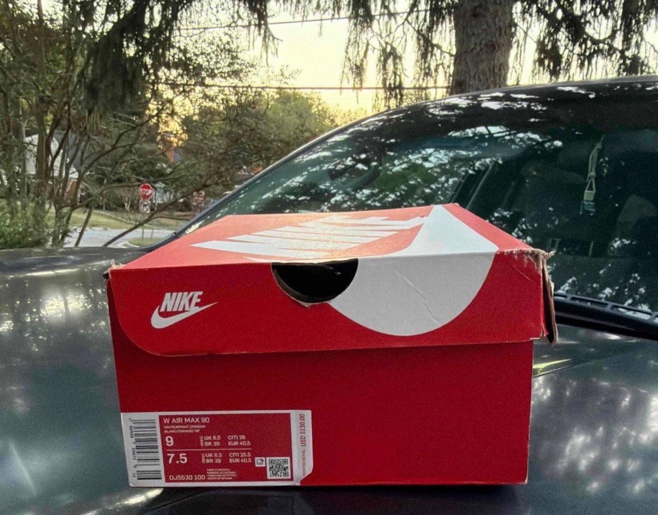 Air Max 90 Fresh Bright Crimson Size 7.5