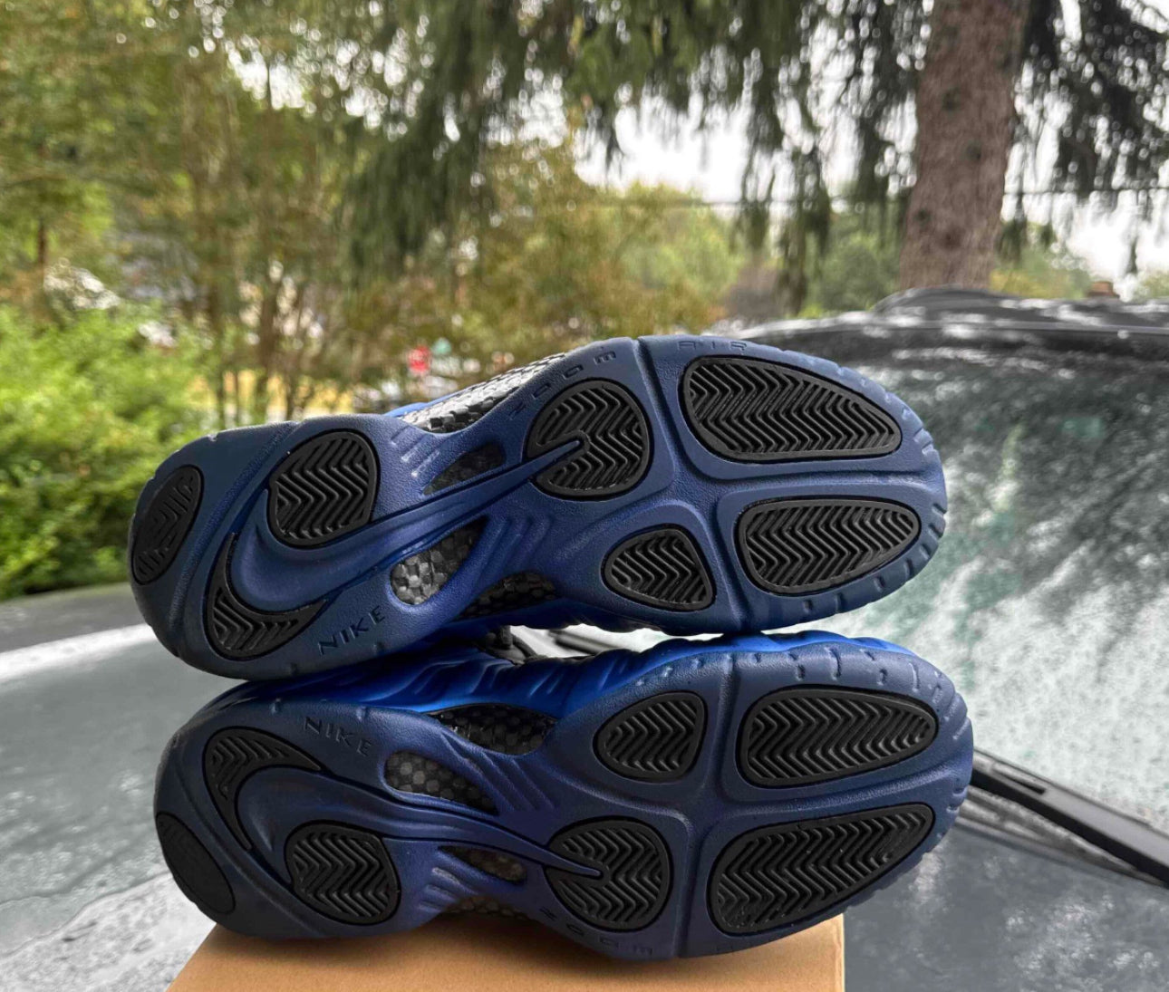 Hyper Cobalt Foams Size 9.5