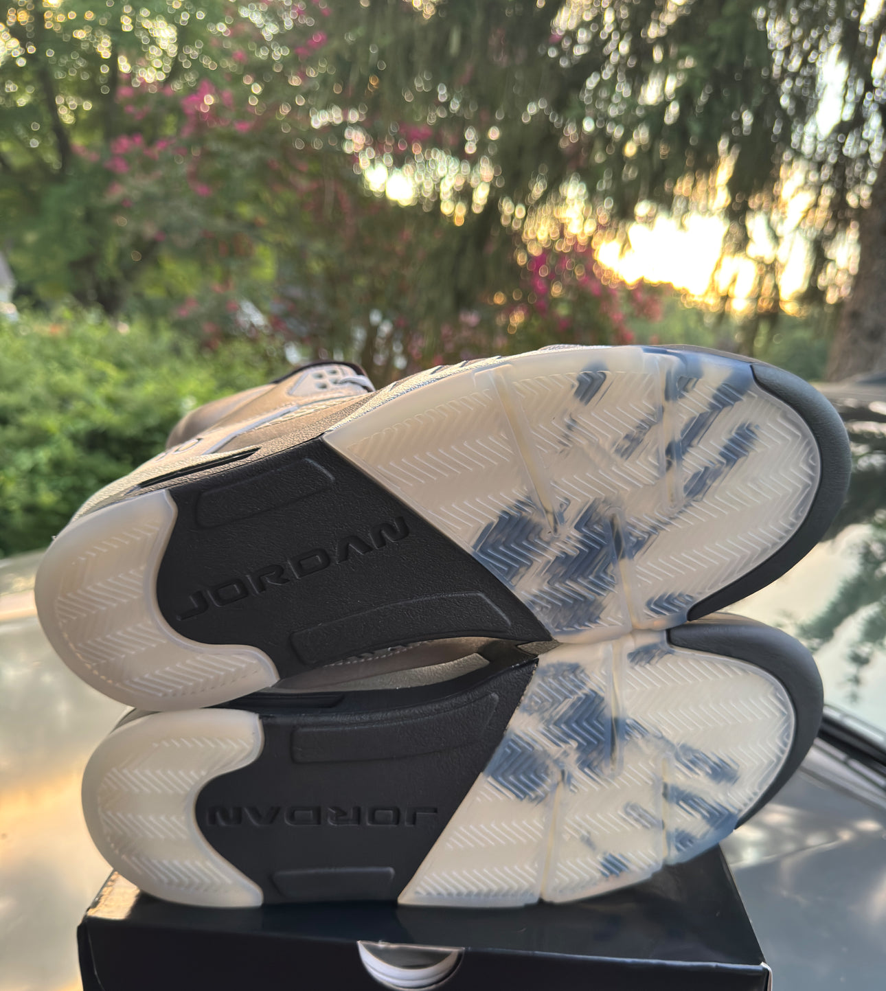 Brand New Wing 5s Size 12W/ 10.5M