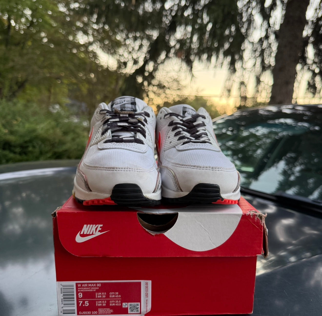 Air Max 90 Fresh Bright Crimson Size 7.5