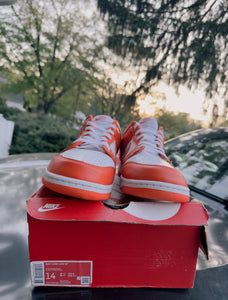 Nike Dunk Low Syracuse Size 14